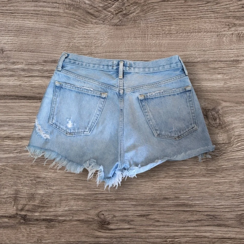 Agolde Parker Vintage Cut Off Short In Animate